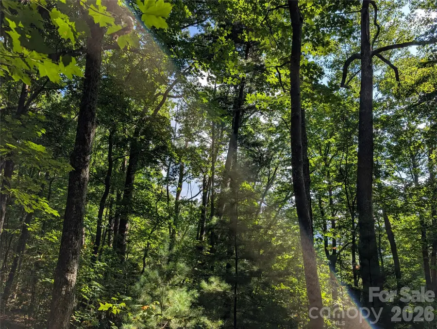 0 Raspberry None, Hot Springs, NC 28743 - #3