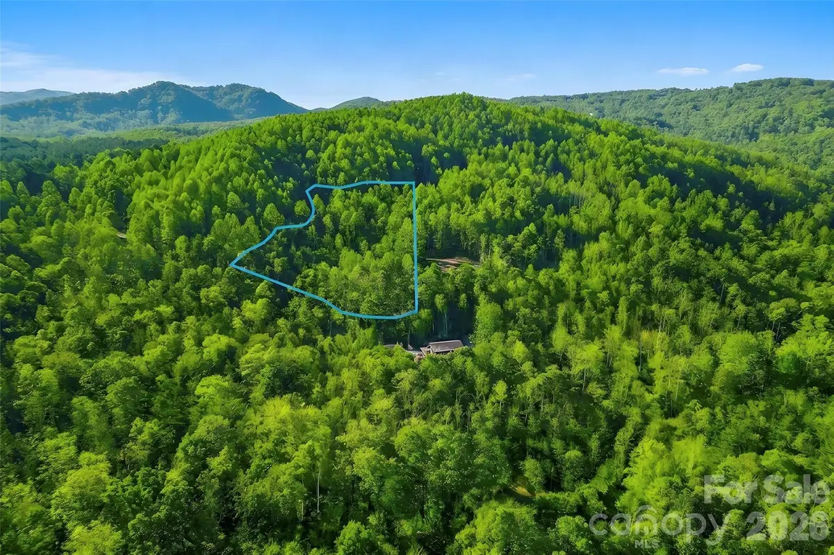 000 Jill Drive, Nebo, NC 28761 - #1