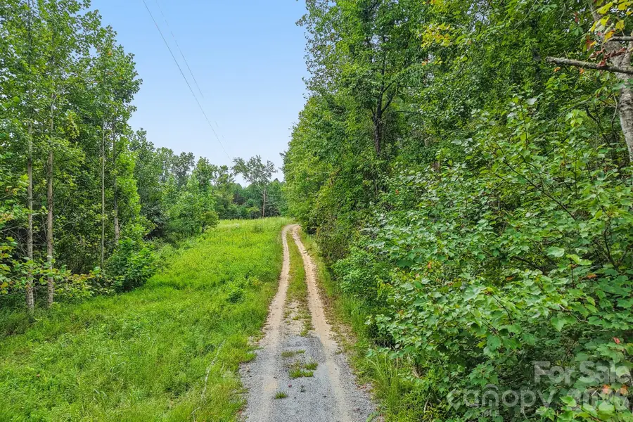 9999 Club House Road, Lake Lure, NC 28746 - #2