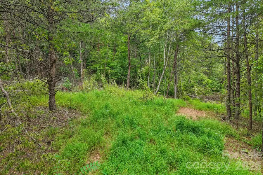 9999 Club House Road, Lake Lure, NC 28746 - #3