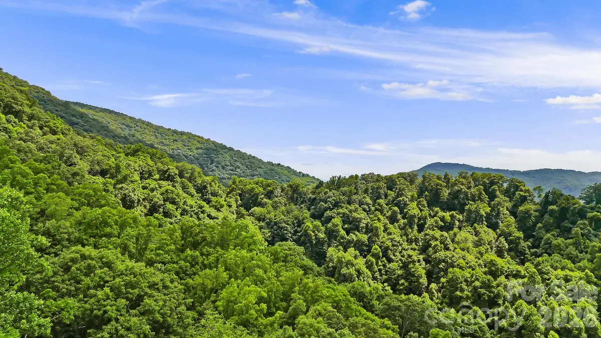 158 Sugar Cove Road, Weaverville, NC 28787 - #1