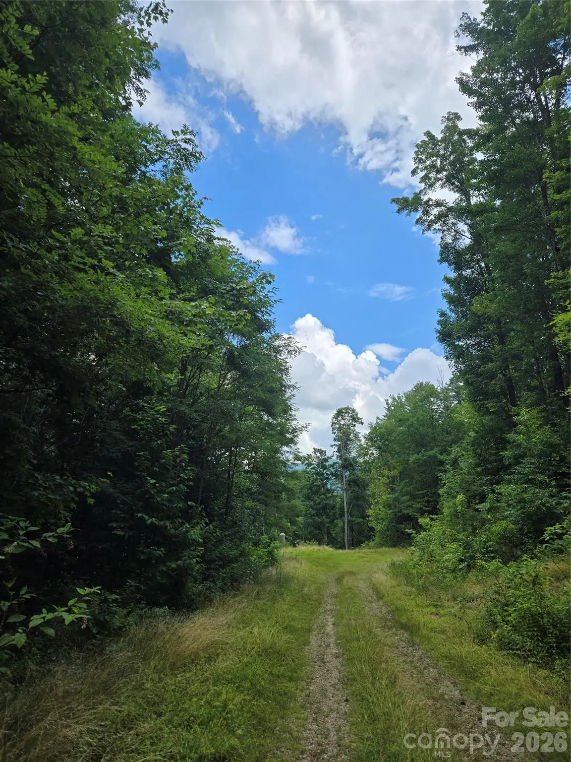 102 Tenderfoot Trail #102 & 103, Maggie Valley, NC 28751 - #1