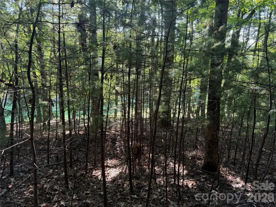 121 Bobby Jones Drive #48, Hendersonville, NC 28739 - #2