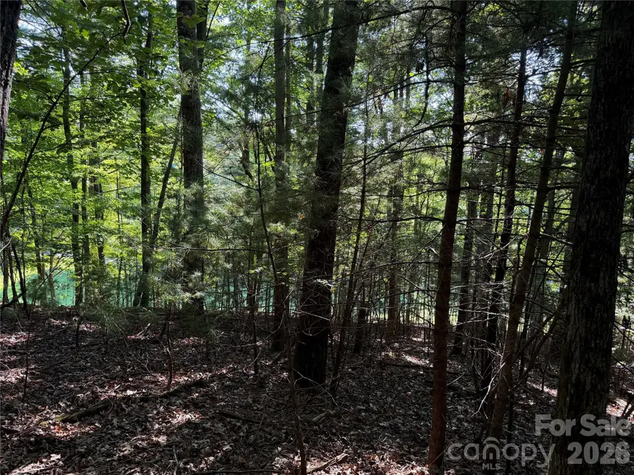 121 Bobby Jones Drive #48, Hendersonville, NC 28739 - #3