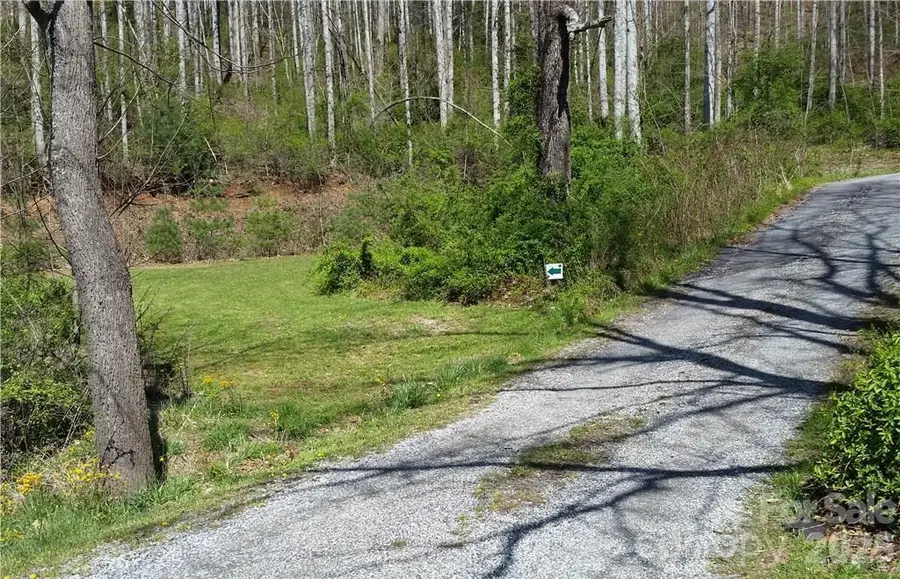 31 Mistletoe Ridge, Waynesville, NC 28786 - #3