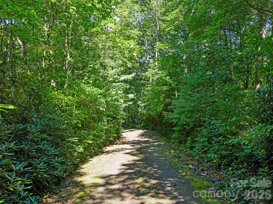 0 Big Ridge Road #31, Burnsville, NC 28714 - #3