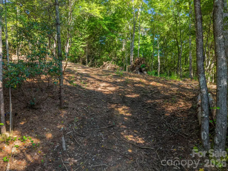 130 Summit Rise Road, Pisgah Forest, NC 28768 - #2