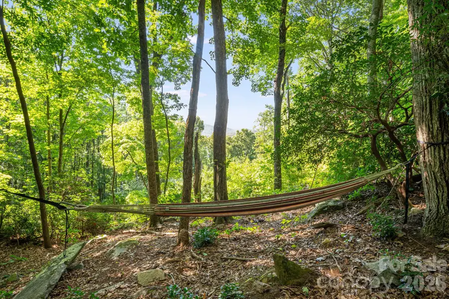 107 Copperhead Cove, Fairview, NC 28730 - #3