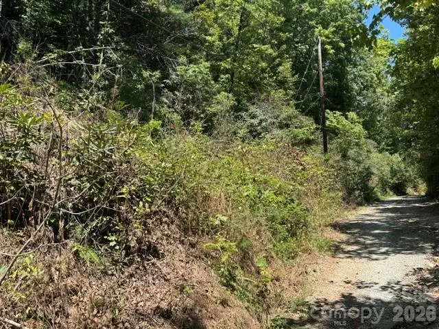 TBD Doris Drive, Hendersonville, NC 28792 - #2
