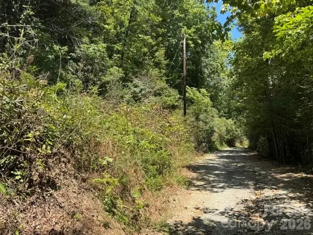 TBD Doris Drive, Hendersonville, NC 28792 - #3