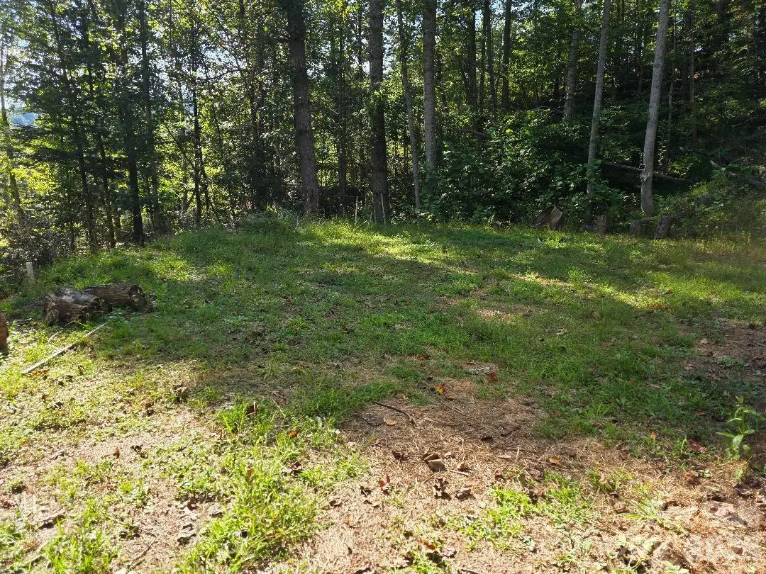 181 Poison Ivy Drive, Burnsville, NC 28714 - #1