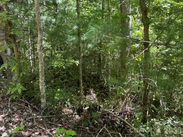 TBD Jarvis Drive, Hendersonville, NC 28792