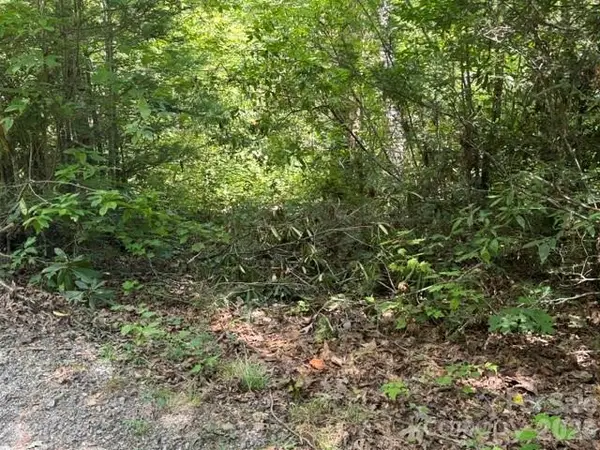 TBD Jarvis Drive, Hendersonville, NC 28792