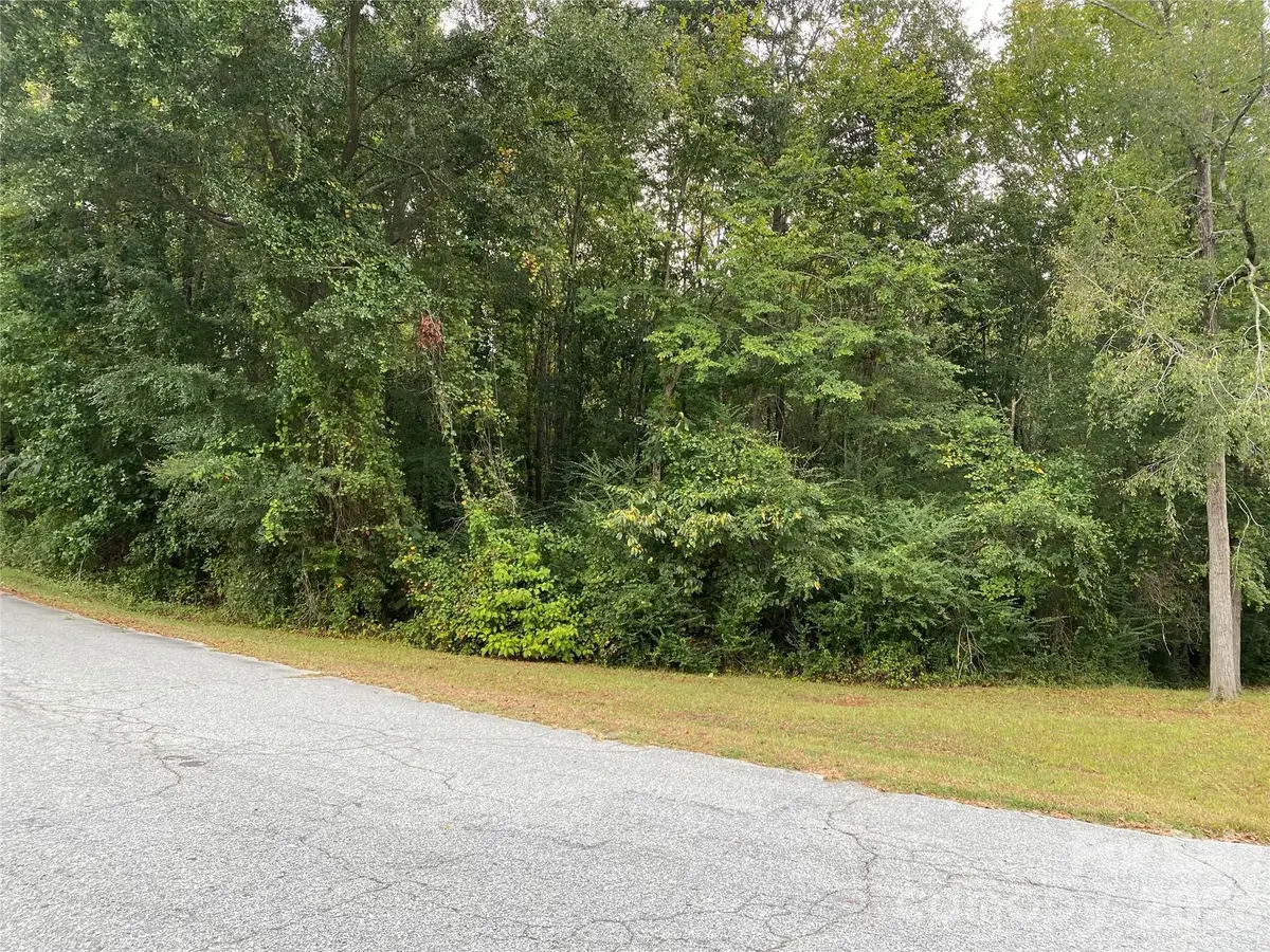 245 Slayton Street, Whitmire, SC 29178 - #1