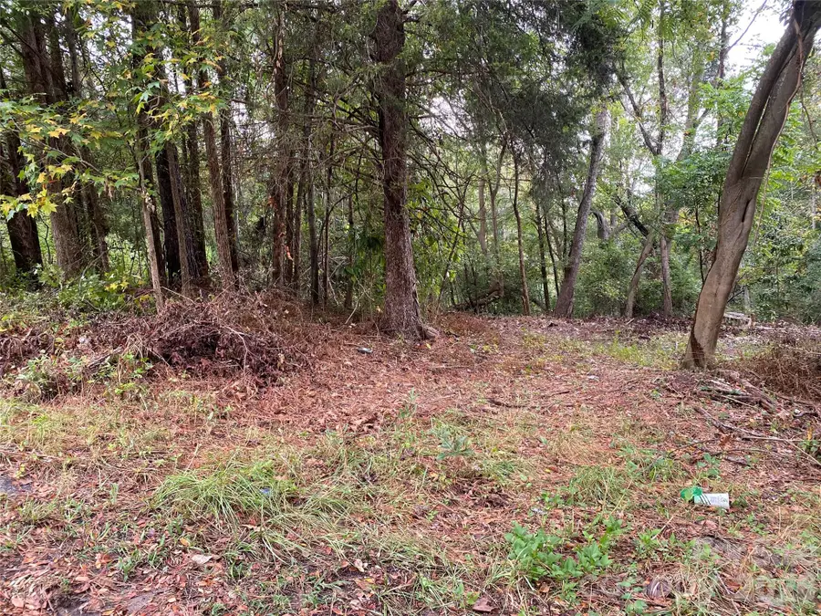 245 Slayton Street, Whitmire, SC 29178 - #3