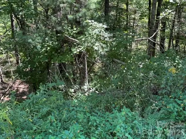TBD Jarvis Drive, Hendersonville, NC 28792