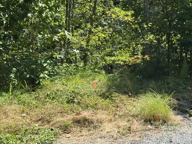 TBD Jarvis Drive, Hendersonville, NC 28792 - #2