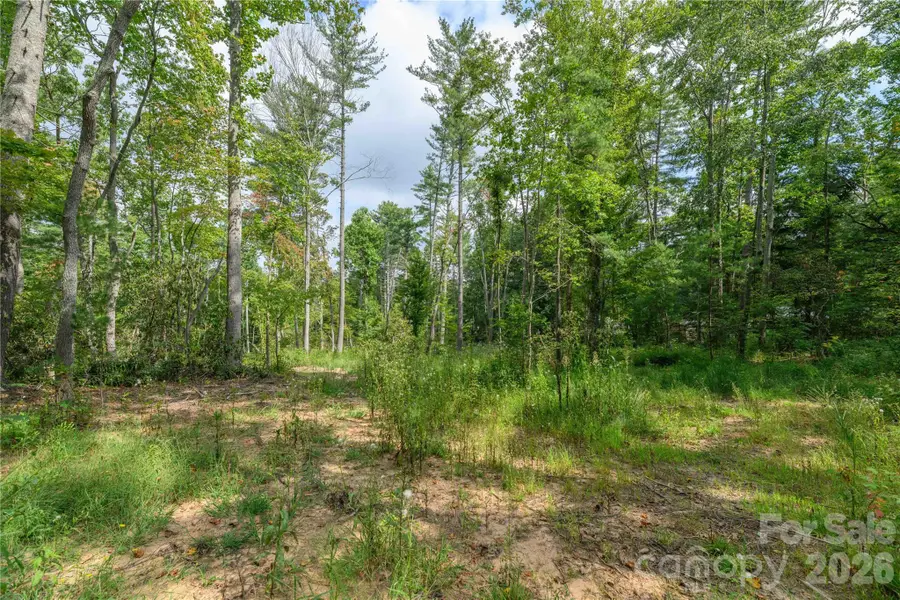 9999 Old Concord Road #2, Fletcher, NC 28732 - #2