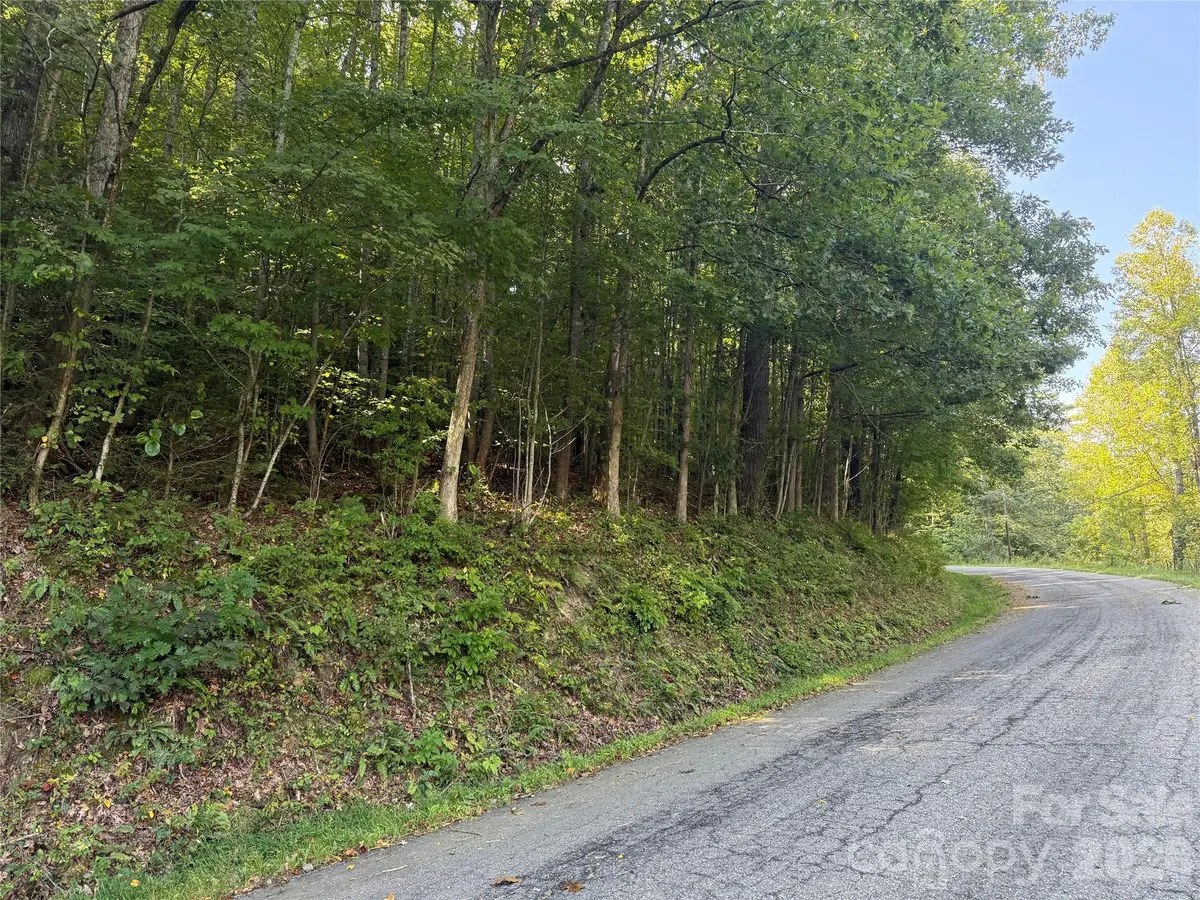 000 Bobcat Road, Waynesville, NC 28785 - #1