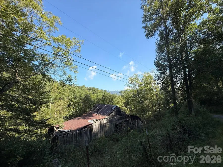 000 Bobcat Road, Waynesville, NC 28785 - #2