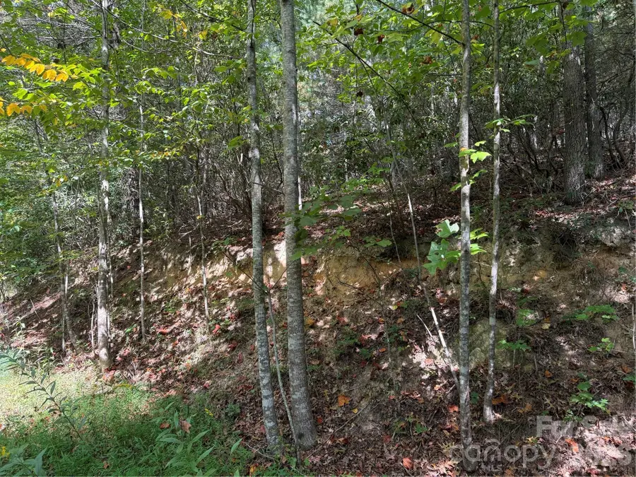 000A Rosalie Lane #19, Waynesville, NC 28785 - #3