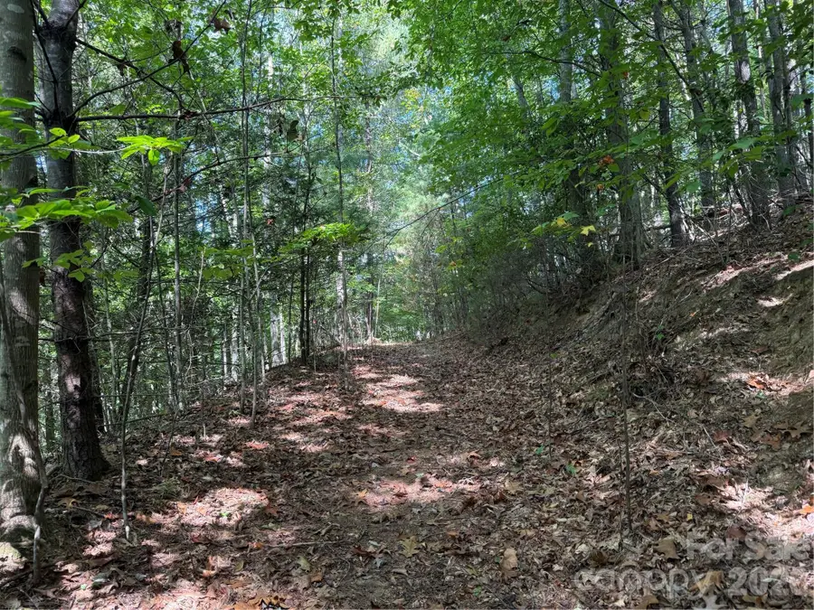 000B Rosalie Lane #20, Waynesville, NC 28785 - #2