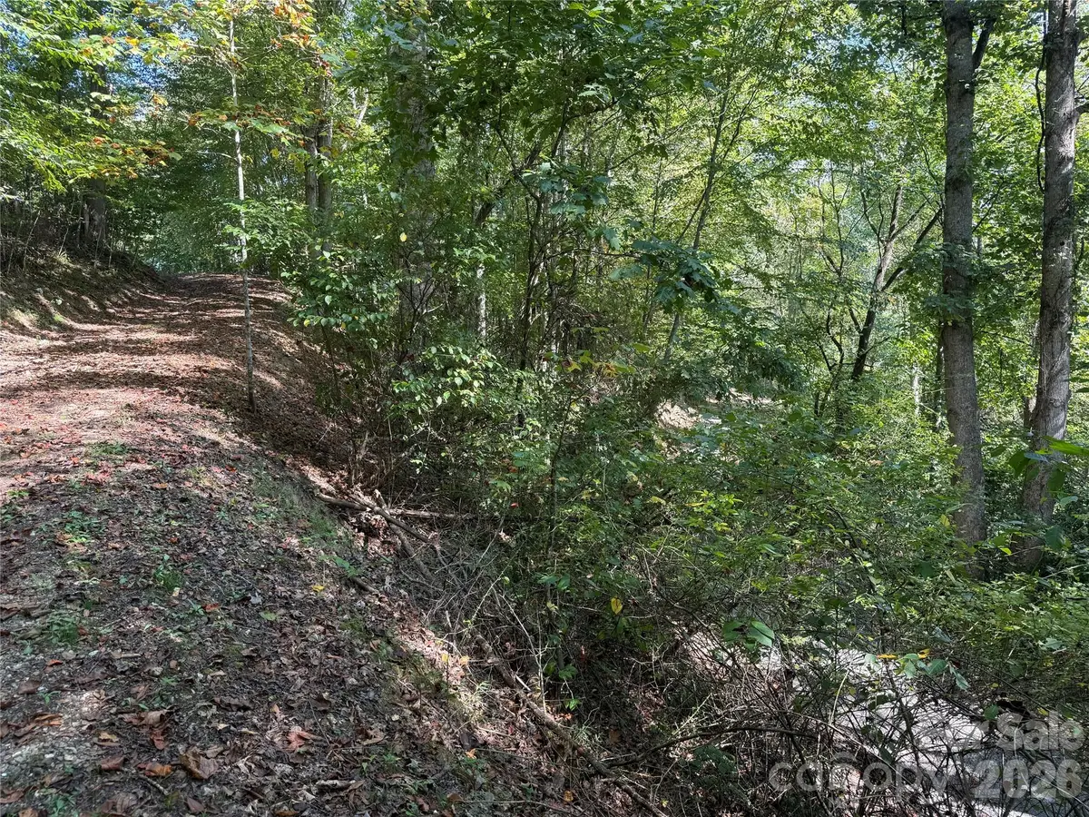 000C Rosalie Lane, Waynesville, NC 28785 - #1