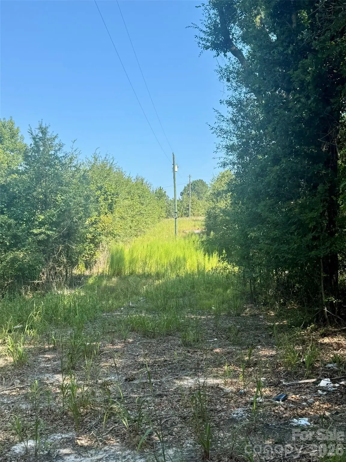 0000 Newman Lane, Jefferson, SC 29718 - #1