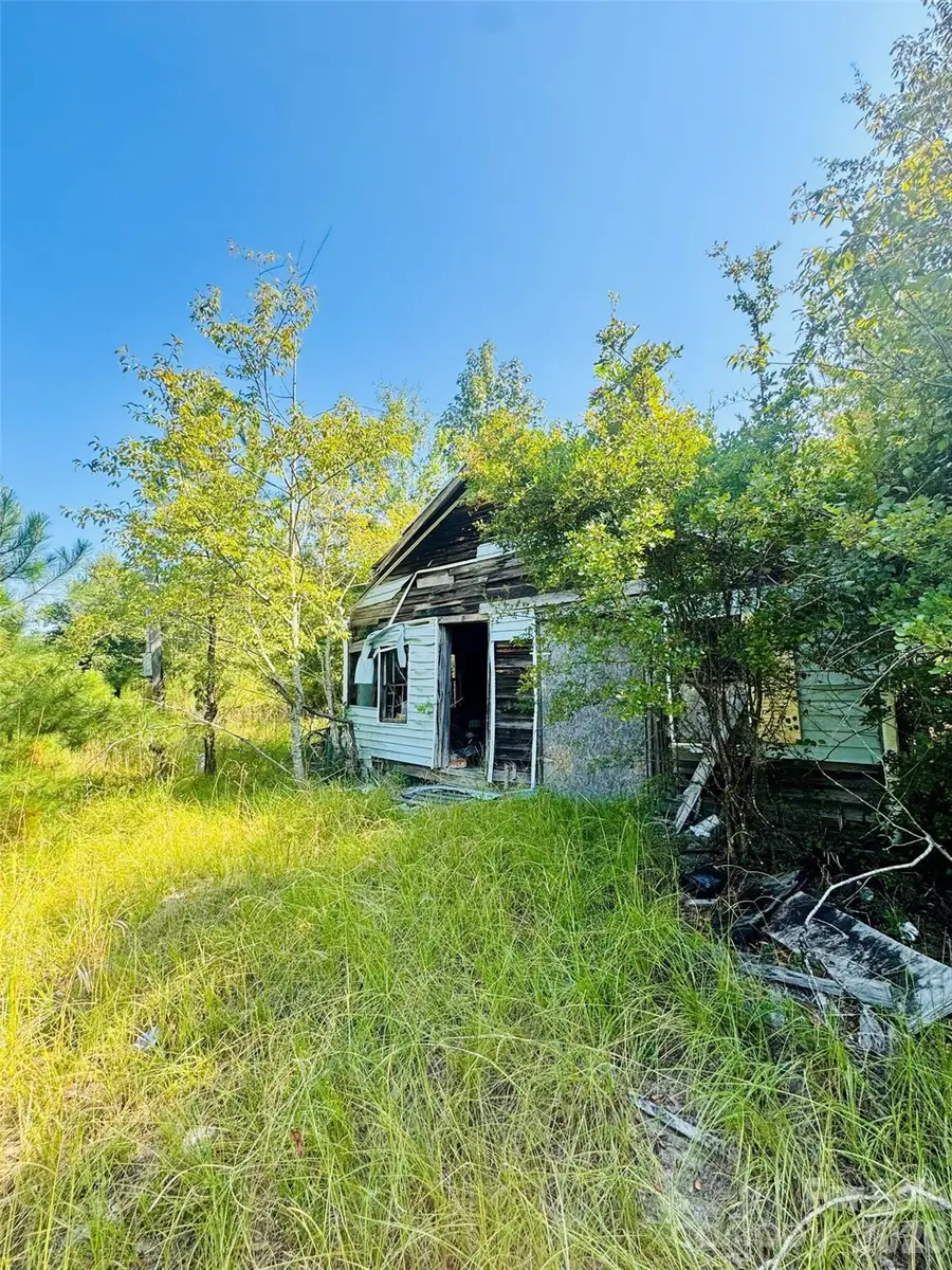 0000 Newman Lane, Jefferson, SC 29718 - #2
