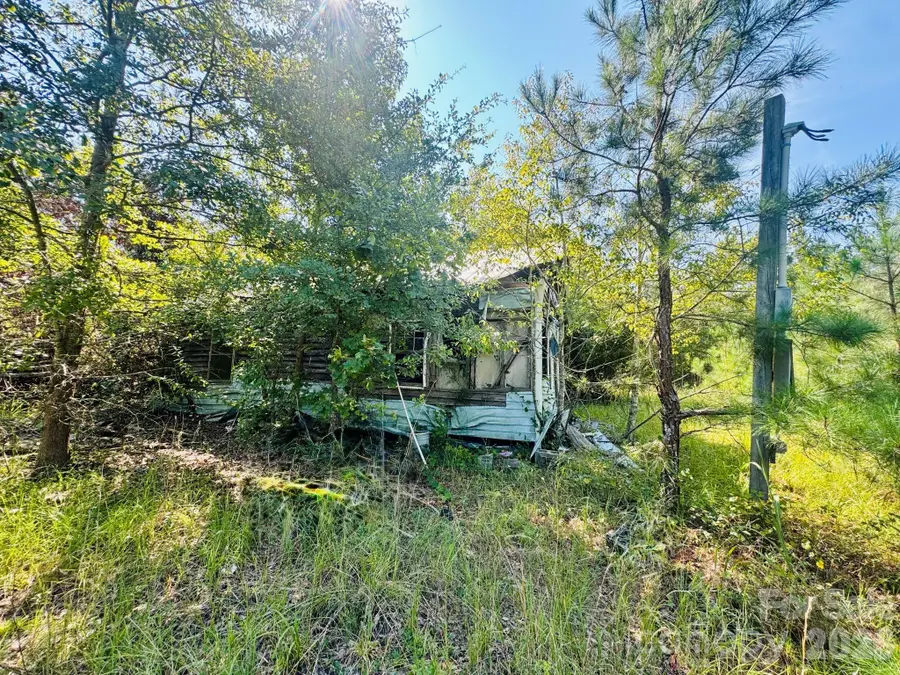 0000 Newman Lane, Jefferson, SC 29718 - #3