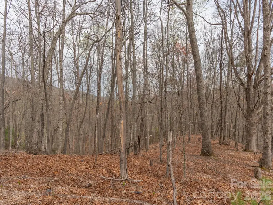 00 Michele Lane #4, Leicester, NC 28748 - #2