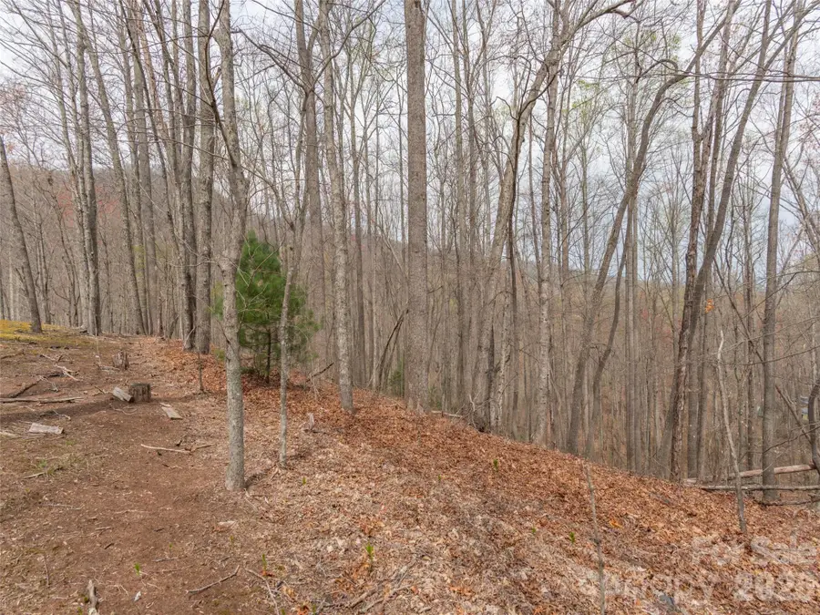 00 Michele Lane #4, Leicester, NC 28748 - #3