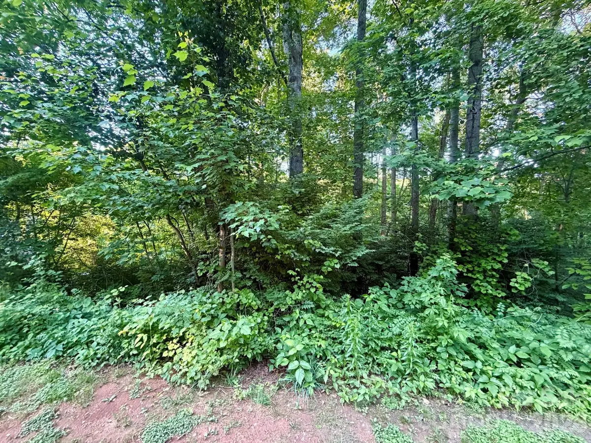 1221 Shirebourn None, Hickory, NC 28602 - #1