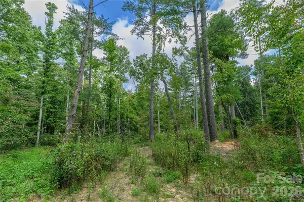 9999 Old Concord Road #3, Fletcher, NC 28732