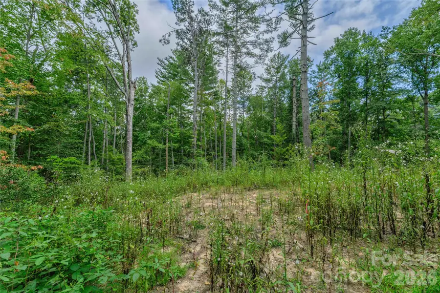 9999 Old Concord Road #3, Fletcher, NC 28732 - #2