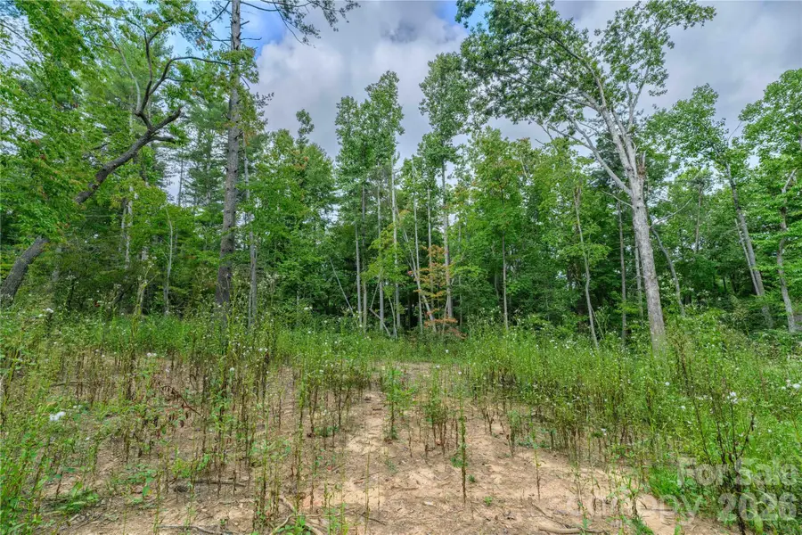 9999 Old Concord Road #3, Fletcher, NC 28732 - #3