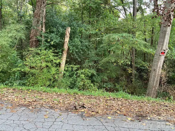 0 Slayton Street, Whitmire, SC 29178