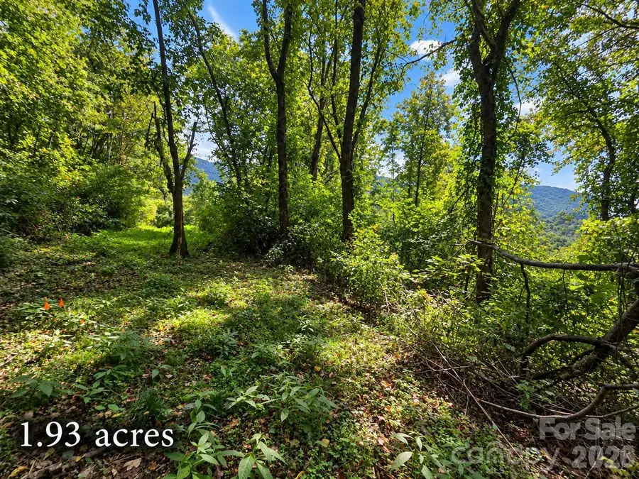 81 Dove Crest Lane #18 & 33, Waynesville, NC 28786 - #3