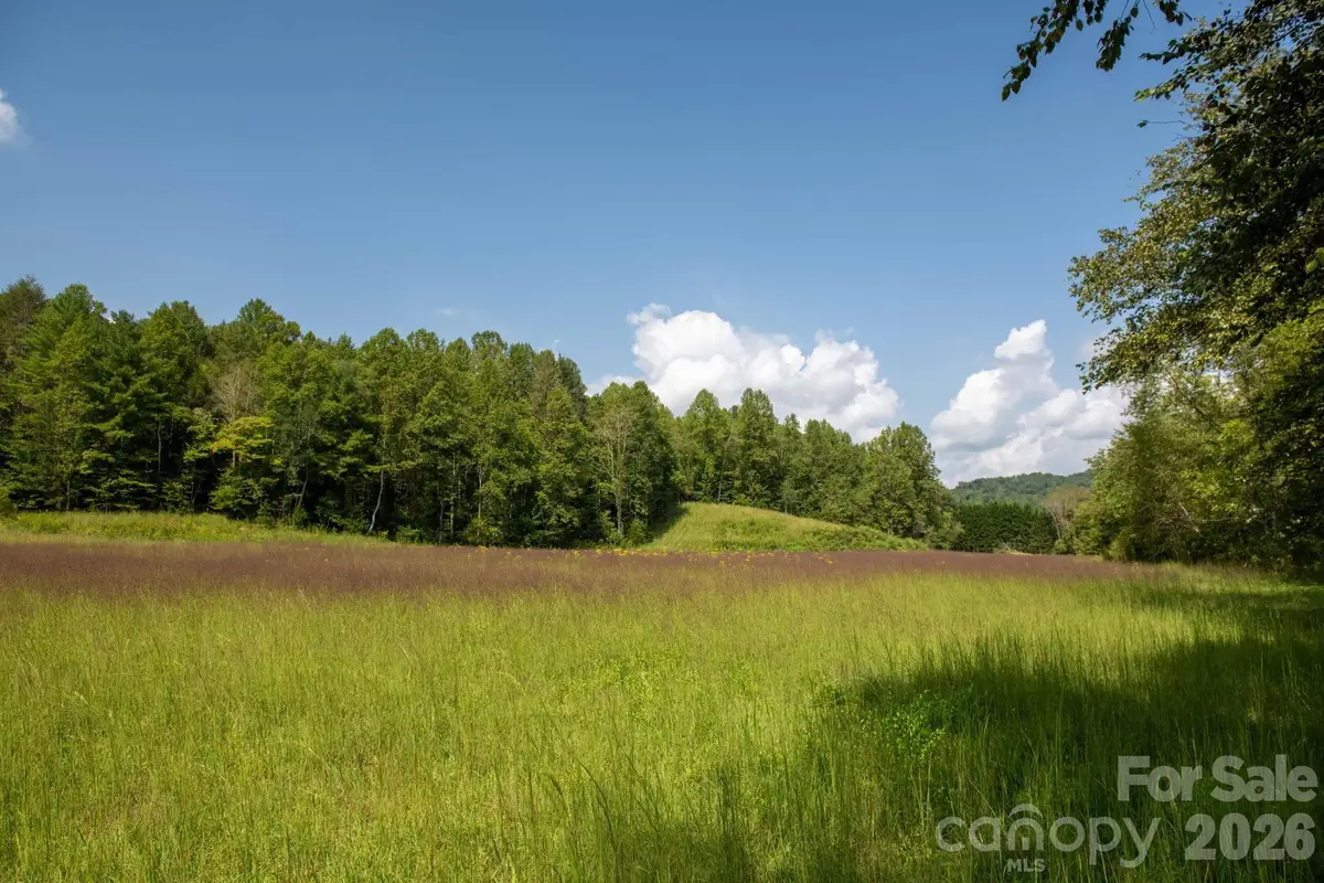3305 Zacks Fork Road, Lenoir, NC 28645 - #1