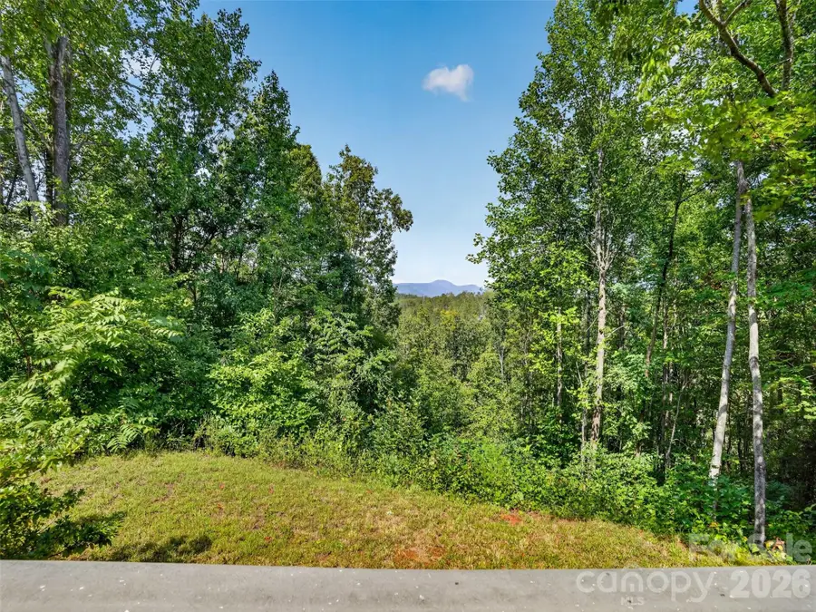484 Briar Patch Lane, Saluda, NC 28773 - #2