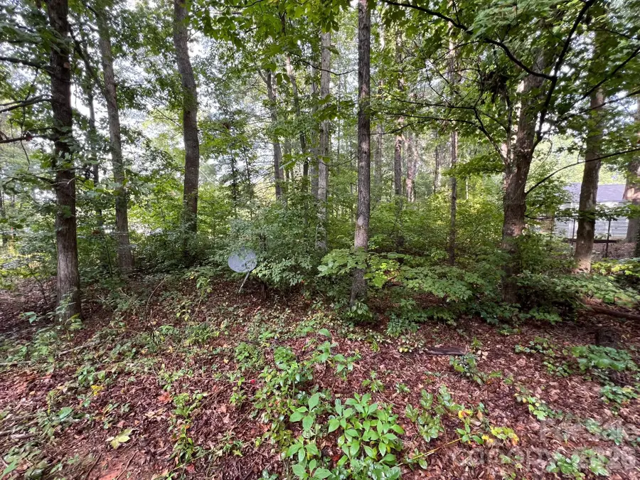 0 Hayes Waters Road #2, Morganton, NC 28655 - #3