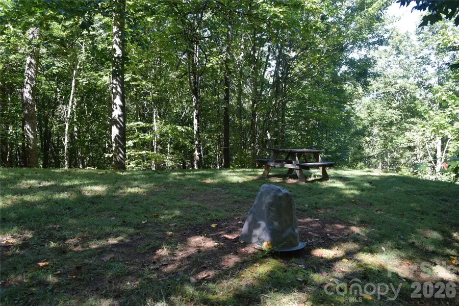 1410 N Double Knob Loop, Arden, NC 28704 - #2