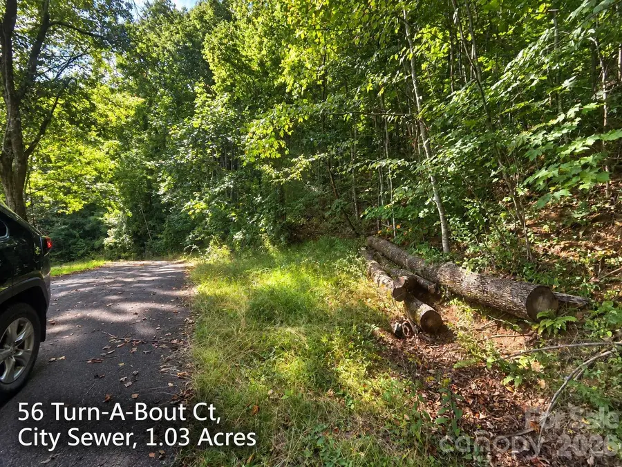250 & 300 Turn-a-bout Court, Waynesville, NC 28785 - #2