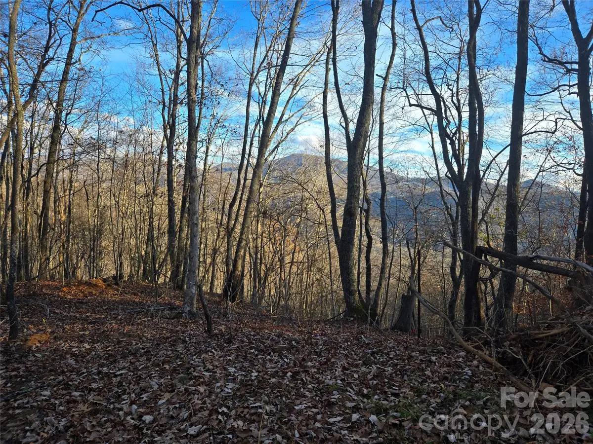 0000 Brasstown Road, Cullowhee, NC 28723 - #1