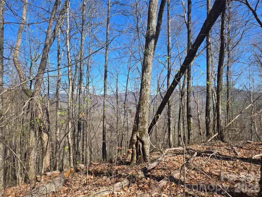 0000 Brasstown Road, Cullowhee, NC 28723 - #2
