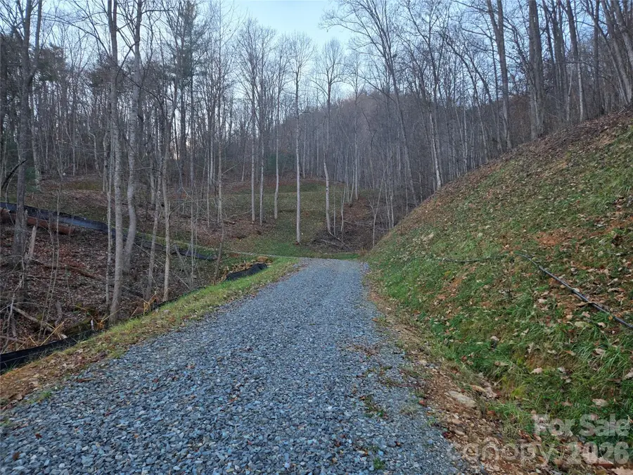 0000 Brasstown Road, Cullowhee, NC 28723 - #3