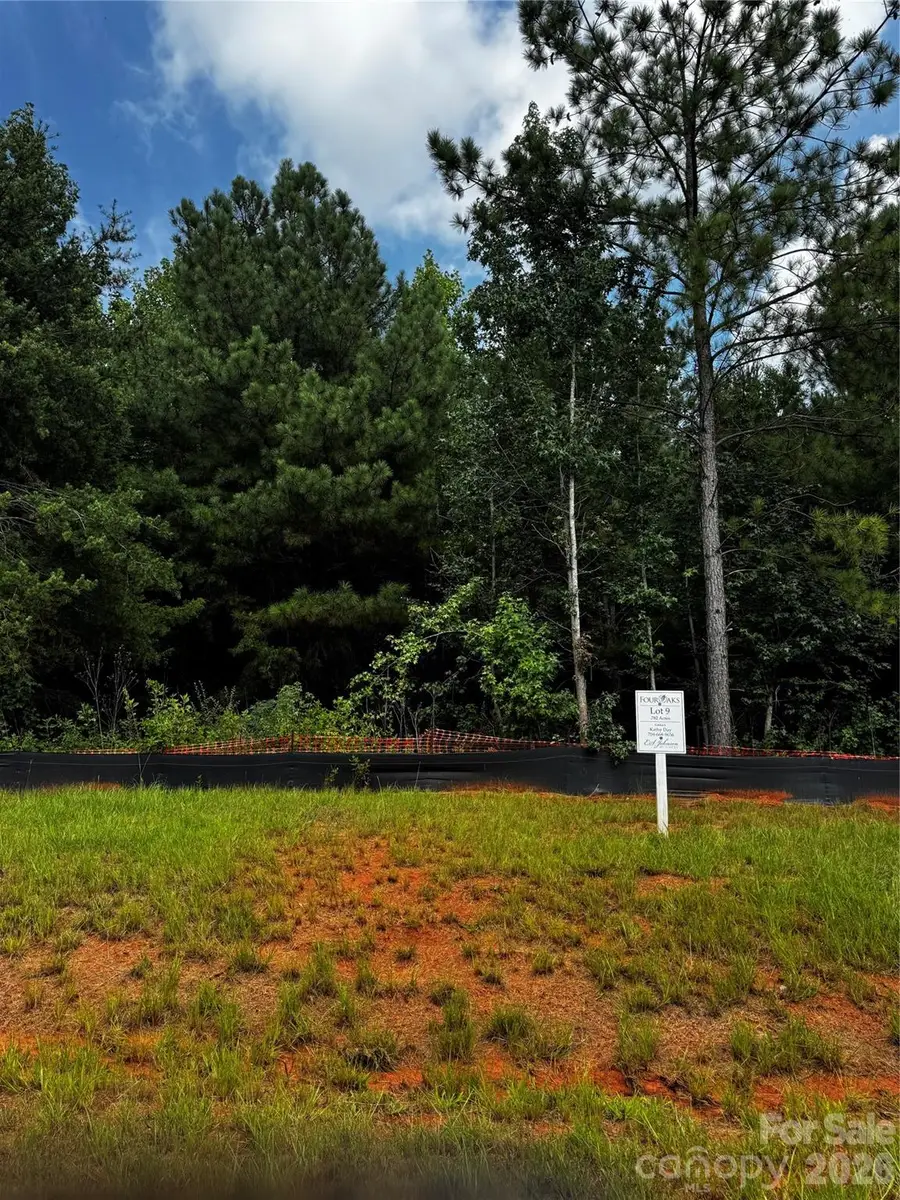 7443 Kates Grove Way, Huntersville, NC 28078 - #2