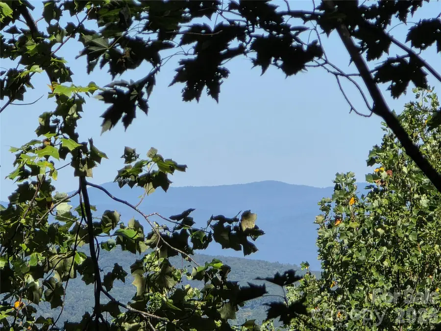 113 Meditation Ridge Drive, Nebo, NC 28761 - #3