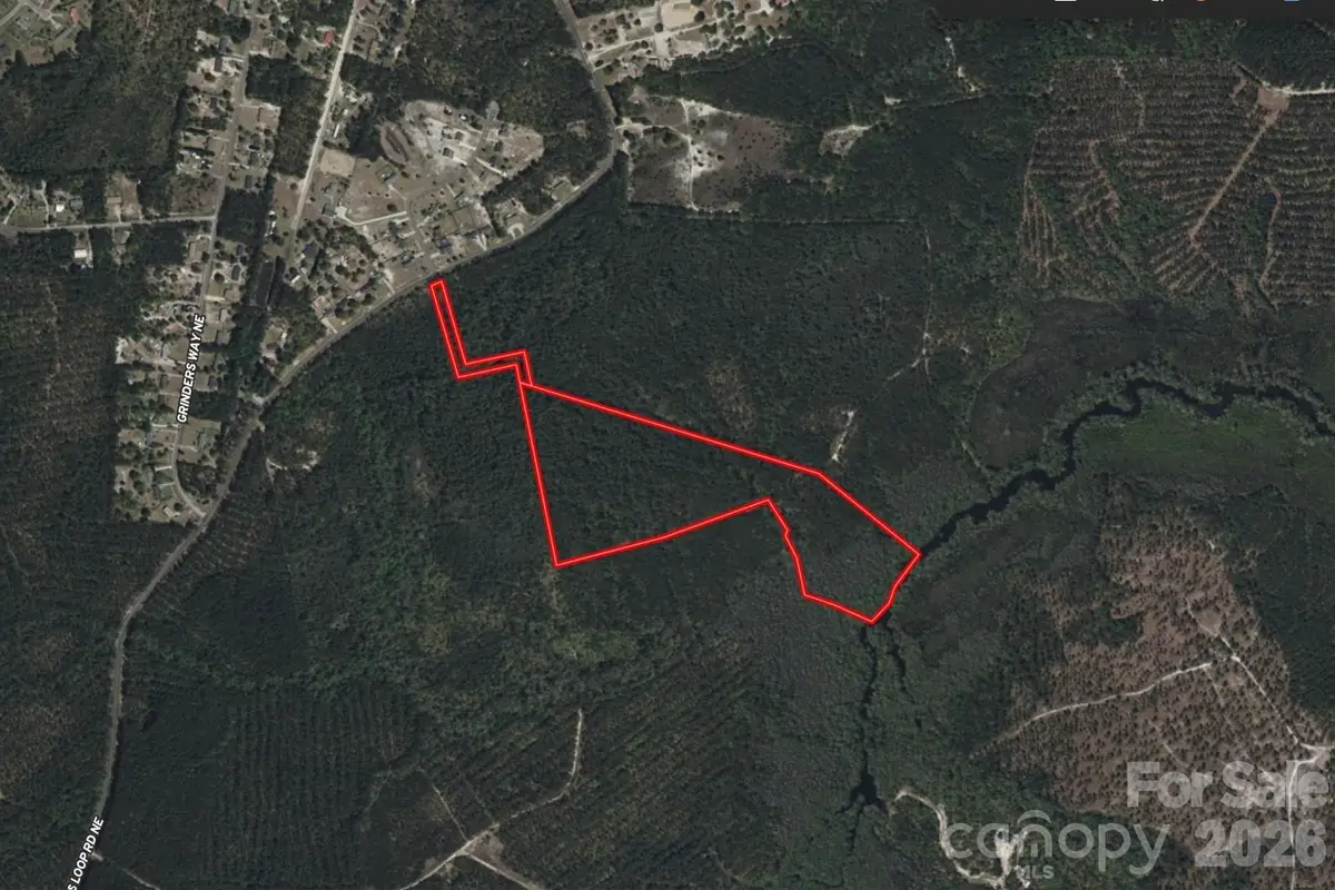 3200 Blue Banks Loop Road, Leland, NC 28451 - #1