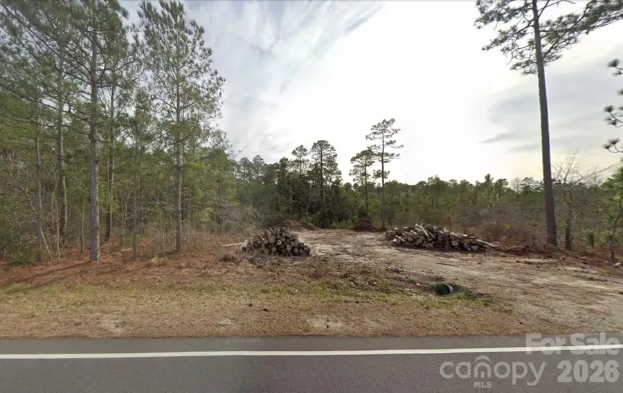 3200 Blue Banks Loop Road, Leland, NC 28451 - #2